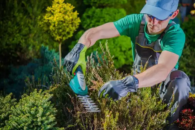 landscaping services Cayuga Heights